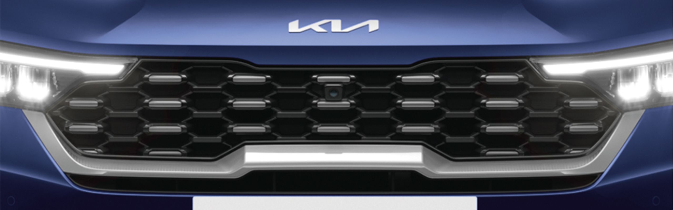 Signature Tiger Nose Grille